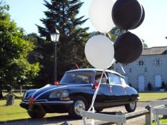 CITROËN ID 19 (Photo 3)