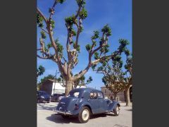 Louer une CITROËN Traction 11 BL de de 1953 (Photo 4)