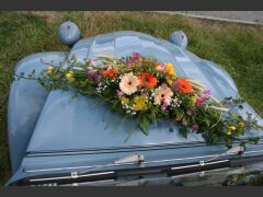 CITRON 2CV AZA (Photo 5)