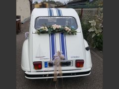 CITRON 2CV France 3 Thalassa (Photo 2)
