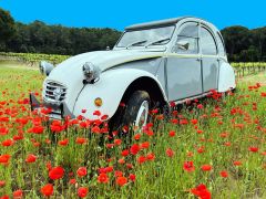 CITRON 2CV6 Dolly (Photo 1)