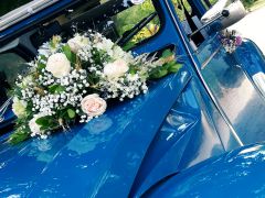 CITRON 2CV (Photo 3)