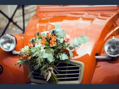 CITRON 2CV (Photo 3)