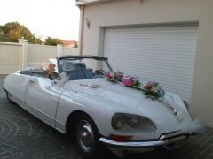 CITRON DS (Photo 3)