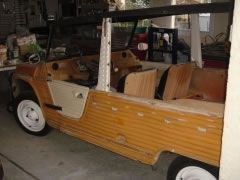 CITRON Mhari (Photo 2)