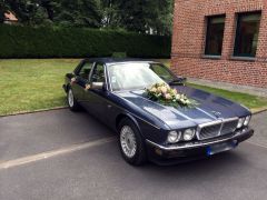 Louer une DAIMLER  de 1984 (Photo 2)