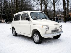 FIAT 500 Gardinieria (Photo 2)