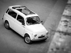 FIAT 500 Gardinieria (Photo 3)