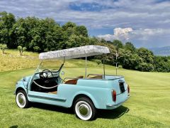 FIAT Jolly Giardiniera (Photo 2)