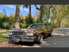 Louer une FORD Gran Torino de de 1973 (Photo 2)