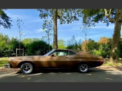 Louer une FORD Grand Torino de de 1973 (Photo 3)