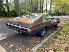 Louer une FORD Grand Torino de de 1973 (Photo 4)