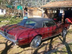 Louer une FORD Mercury 285CV de de 1964 (Photo 3)