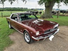 Louer une FORD Mustang 200CV de de 1966 (Photo 1)