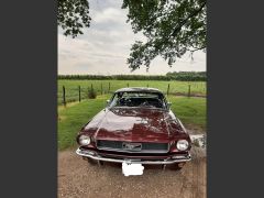 Louer une FORD Mustang 200CV de de 1966 (Photo 3)