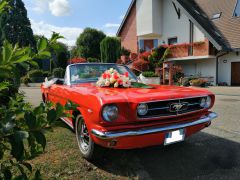 Louer une FORD Mustang 225CV de de 1965 (Photo 3)