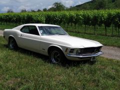 Louer une FORD Mustang 340 CV de 1970 (Photo 2)