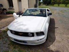 FORD Mustang GT  (Photo 3)