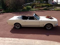 Louer une FORD Mustang GT de de 1966 (Photo 3)