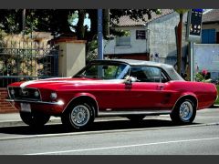 FORD Mustang GTA Convertible (Photo 4)