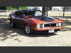 Louer une FORD Mustang Mach 1 de de 1973 (Photo 1)