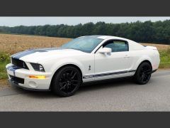 FORD Mustang Shelby GT 500 de 2000 en location pour mariage dans la Marne