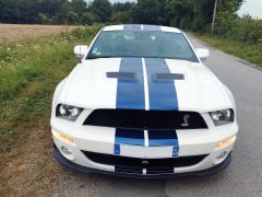 FORD Mustang Shelby GT 500 de 2000 en location pour mariage dans la Marne