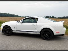 FORD Mustang Shelby GT 500 de 2000 en location pour mariage dans la Marne