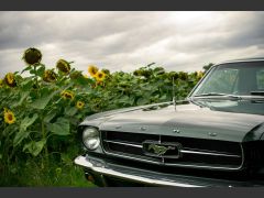 FORD Mustang (Photo 2)