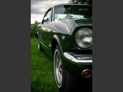FORD Mustang (Photo 3)