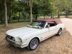 Louer une FORD Mustang de de 1965 (Photo 4)