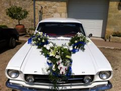 Louer une FORD Mustang de de 1965 (Photo 3)