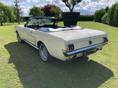 Louer une FORD Mustang de de 1965 (Photo 4)