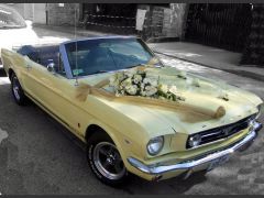 Louer une FORD Mustang de 1966 (Photo 1)