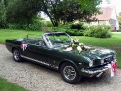 Louer une FORD Mustang de de 1966 (Photo 1)