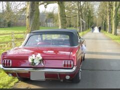 Louer une FORD Mustang de de 1966 (Photo 5)