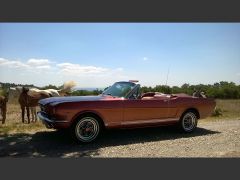Louer une FORD Mustang de de 1966 (Photo 4)