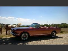 FORD Mustang (Photo 4)
