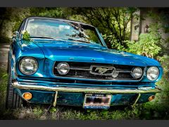 Louer une FORD Mustang de de 1966 (Photo 3)