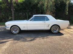 Louer une FORD Mustang de de 1966 (Photo 3)