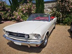 Louer une FORD Mustang de de 1966 (Photo 2)