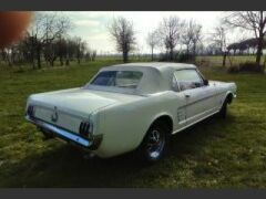 Louer une FORD Mustang de de 1966 (Photo 5)