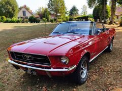 Louer une FORD Mustang de 1967 (Photo 0)