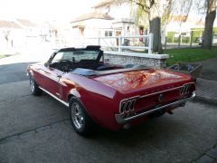 Louer une FORD Mustang de de 1967 (Photo 4)