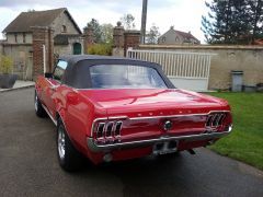 Louer une FORD Mustang de de 1967 (Photo 5)