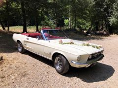 Louer une FORD Mustang de 1967 (Photo 0)