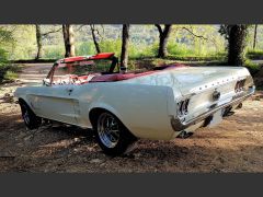 Louer une FORD Mustang de de 1967 (Photo 2)