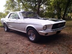 Louer une FORD Mustang de de 1967 (Photo 1)