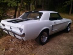 Louer une FORD Mustang de de 1967 (Photo 2)