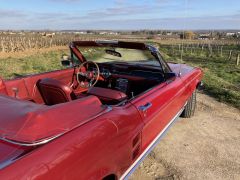 Louer une FORD Mustang de de 1967 (Photo 5)